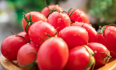 好用的肥料生物有機(jī)肥菌肥，怎么使用效果好？