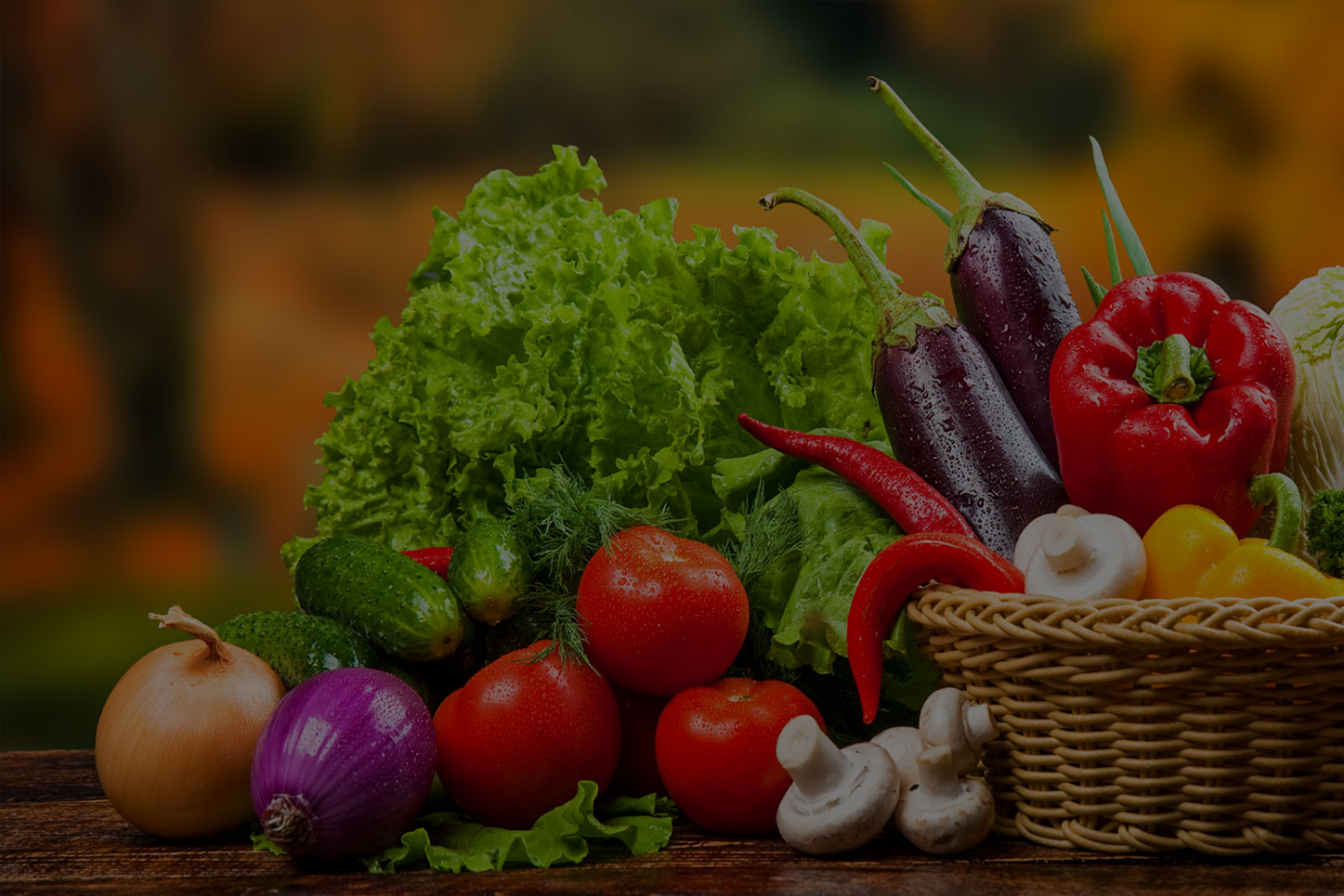 海藻、魚蛋白系列